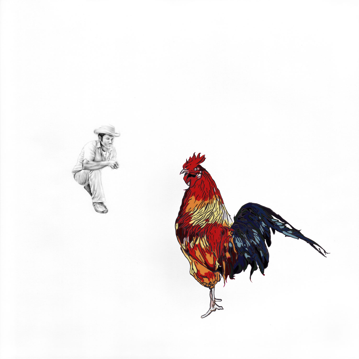 Rooster